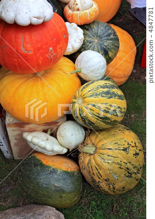vegetables on rural market 4847781