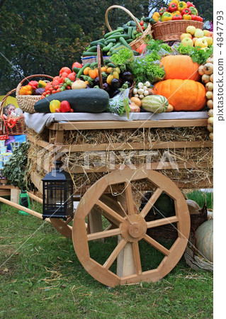 cart with vegetable on rural market cart with vegetable on rural market 4847793