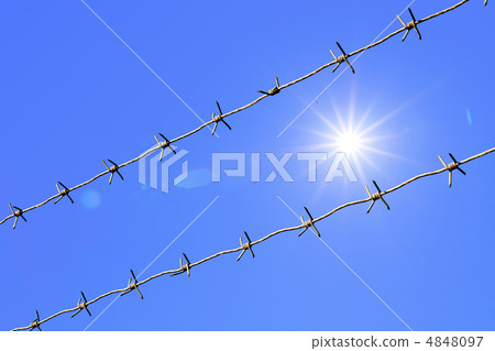 barbed wire 4848097