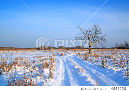rural road on winter field 4848258