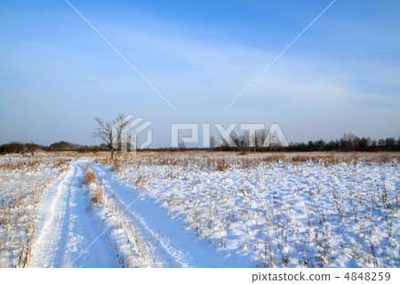 rural road on winter field 4848259