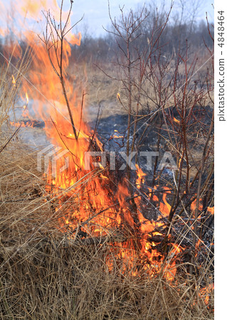 fire in herb fire in herb 4848464