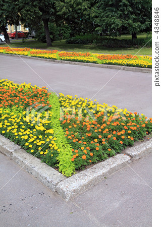 lawn in town park lawn in town park 4848846