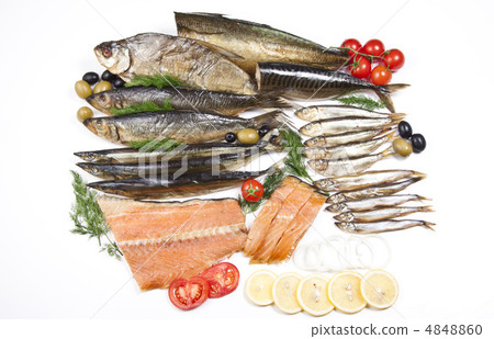 great composition of different fish 4848860