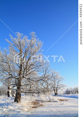 winter landscape winter landscape 4849452