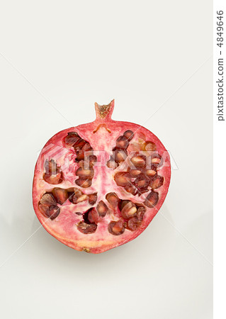 Pomegranate Pomegranate 4849646