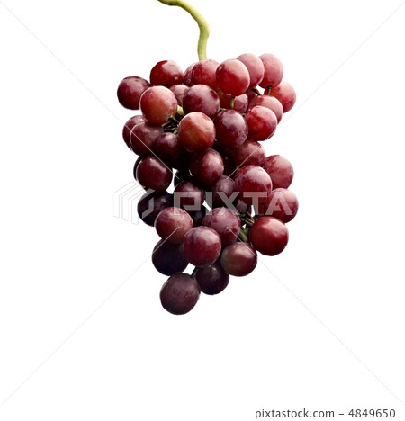 Close up of a cluster of red grapes Close up of a cluster of red grapes 4849650