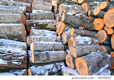 firewood firewood 4849655