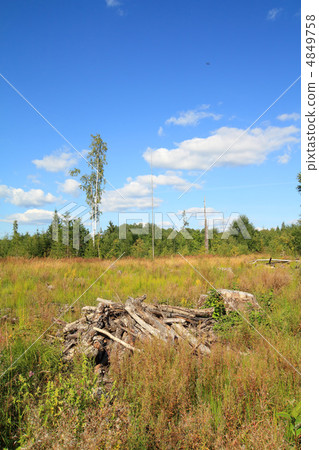 chopping wood chopping wood 4849758