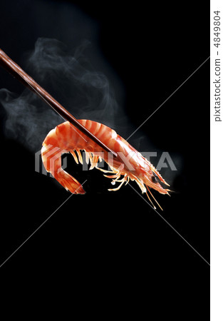 single hot shrimp on black single hot shrimp on black 4849804