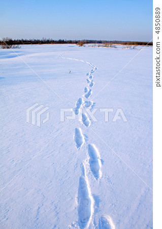 human trace on snow human trace on snow 4850889