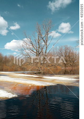 spring flood in wood 4850895