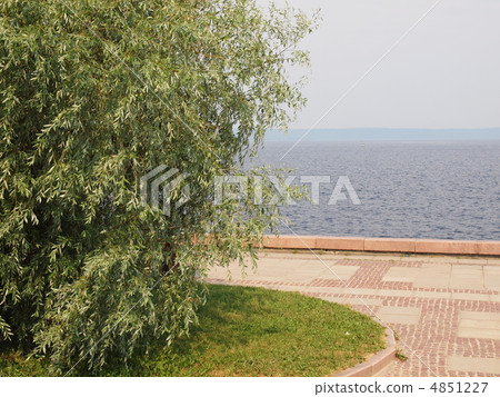 Tree on coast of lake Tree on coast of lake 4851227