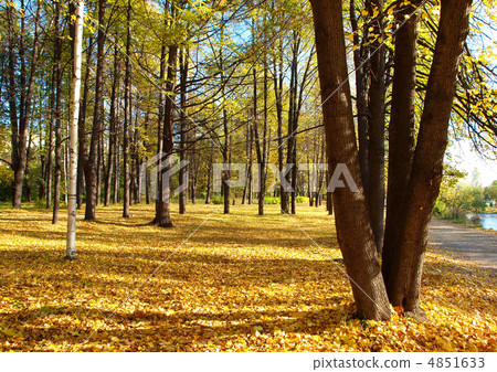 white, environment, cut out 4851633