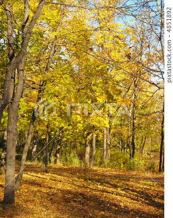 Park in the fall Park in the fall 4851892