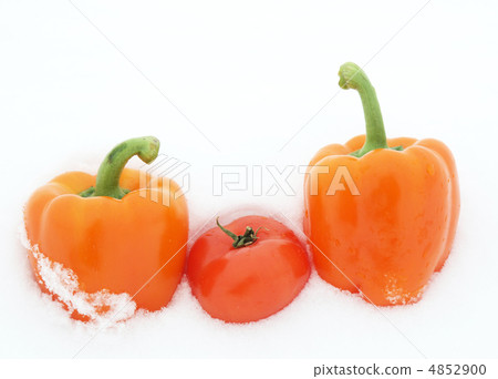 Peppers and tomato on snow 4852900