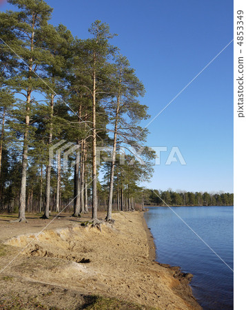 Coast of lake 4853349