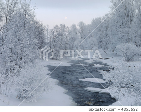 Wood in the winter 4853652