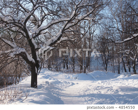 Winter landscape 4854550