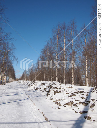 Winter landscape 4854644