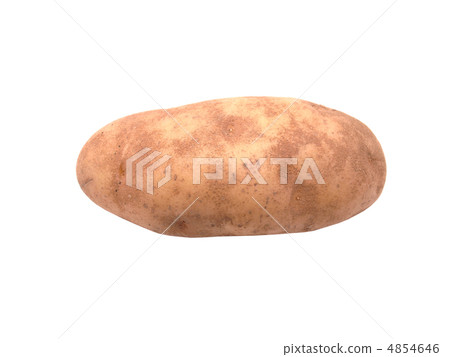potatoes on a white background potatoes on a white background 4854646