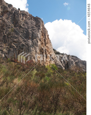tree, sky and rock 4854648