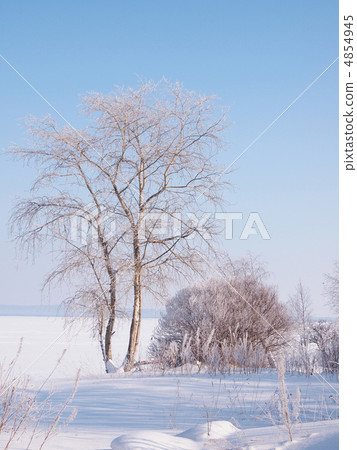 Winter landscape 4854945