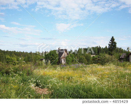 The old thrown house in village in the spring. Karelia, Russia The old thrown house in village in the spring. Karelia, Russia 4855429