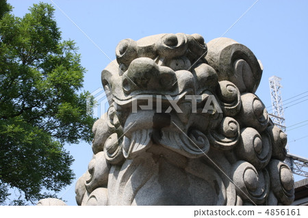 Guardian dog Guardian dog 4856161