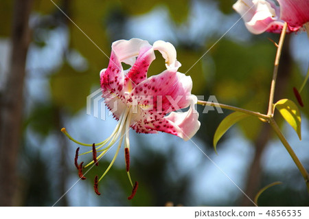 漂亮的taki yuri 4856535