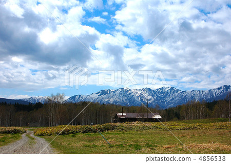 Tokachi triplets 4856538