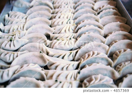Raw dumplings 4857369
