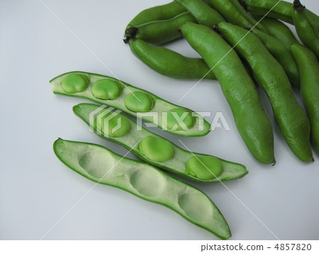 Broad beans 4857820