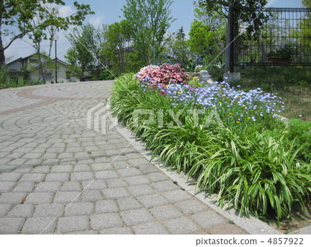 approach approach 4857922