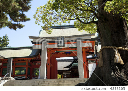 Sumiyoshi Taisha Sumiyoshi Torii和Yukushimon 4858105