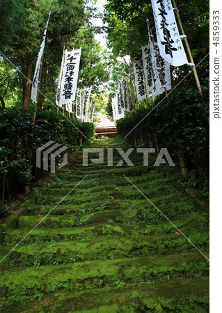 杉本-DERA 杉本-DERA 4859333