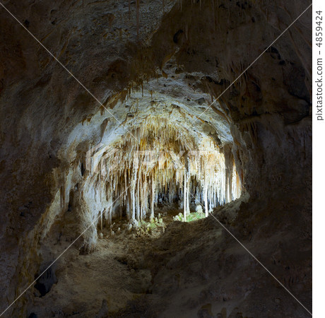 Carlsbad Cavern 4859424