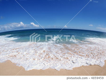 tropic, tropical, room 4859459