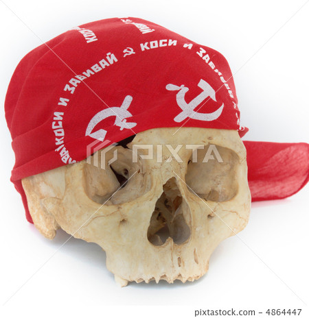 skull and bandanna 4864447