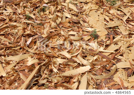 wood shavings 4864565