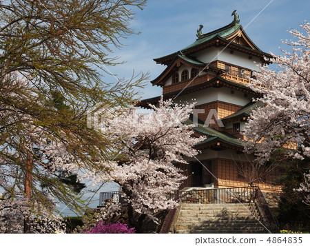 Cherry-blossoming Takashima Castle 4864835