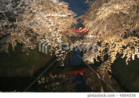Hirosaki Castle 4864836