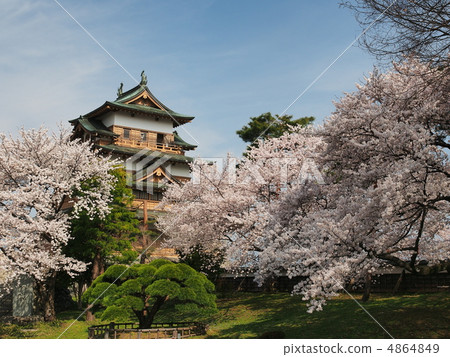 Cherry-blossoming Takashima Castle 4864849
