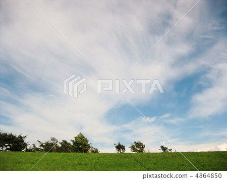 As the wind goes 4864850