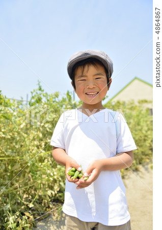 食品教育 食品教育 4864867