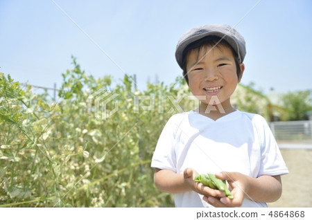 食品教育 食品教育 4864868