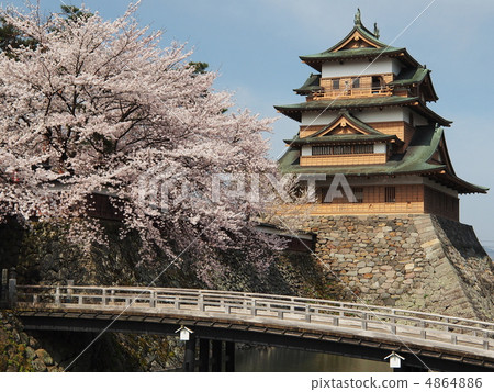 櫻花盛開的高島城堡 櫻花盛開的高島城堡 4864886