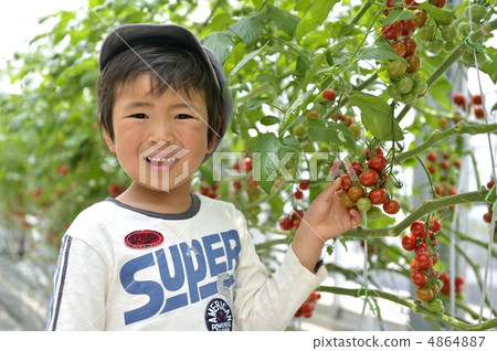 食品教育 食品教育 4864887