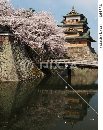 櫻花盛開的高島城堡 櫻花盛開的高島城堡 4864888