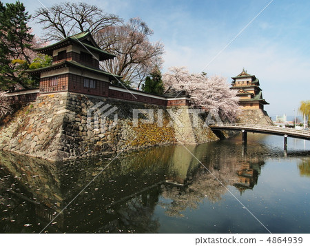櫻花盛開的高島城堡 櫻花盛開的高島城堡 4864939